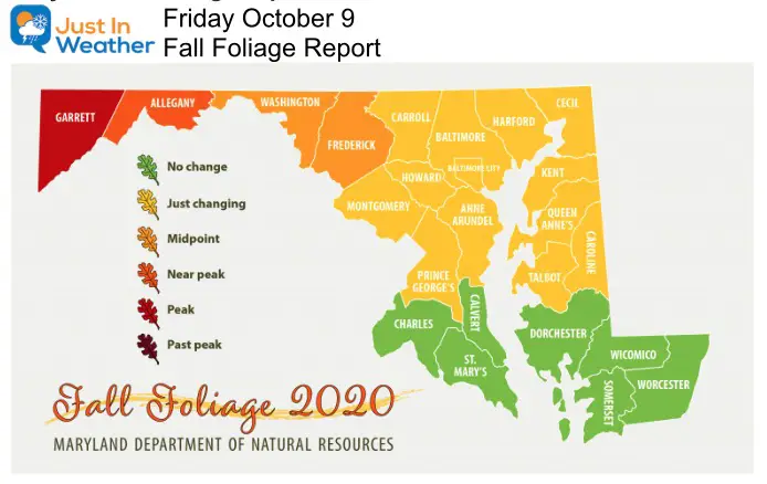 Fall Foliage Maryland October 9 2020