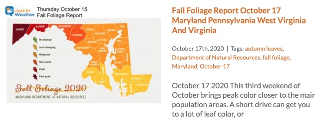 Fall Foliage Report October 17