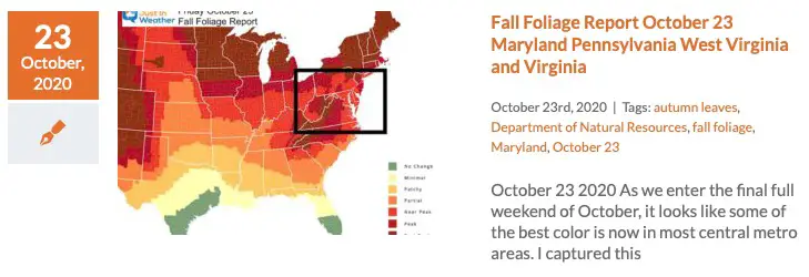 Fall Foliage Report October 23