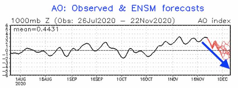 November 22 Outlook Arctic Oscillation