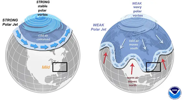 Polar Vortex Science