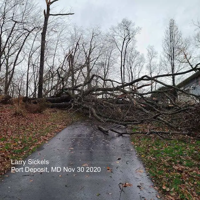 tornado damage poort deposit Sickels 2