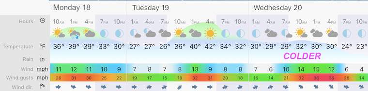 January 18 MLK Day weather forecast central Maryland