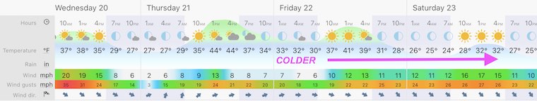 January 20 weather forecast central Maryland