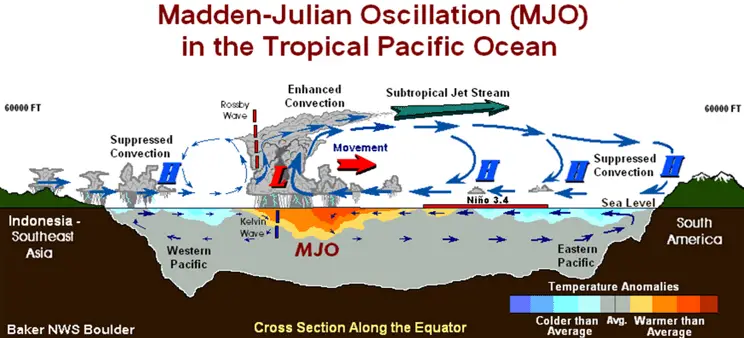 MJO Cross Section