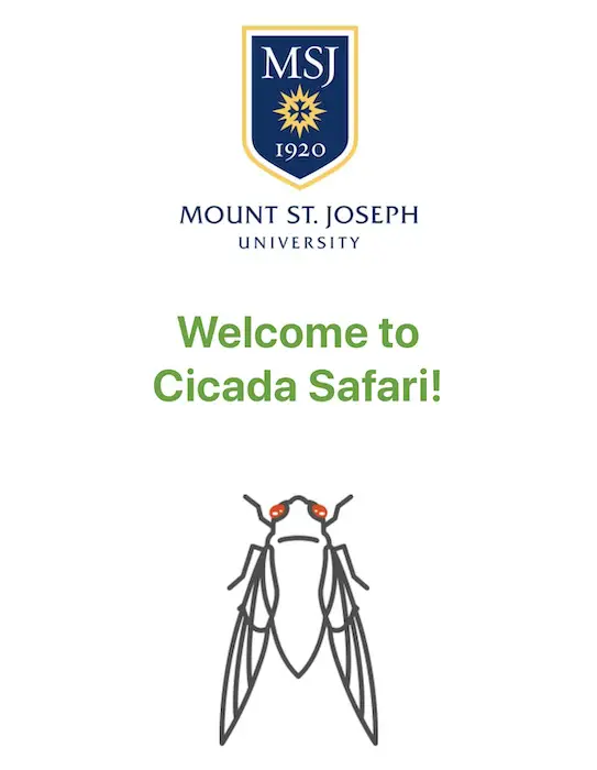 cicada_safari_app