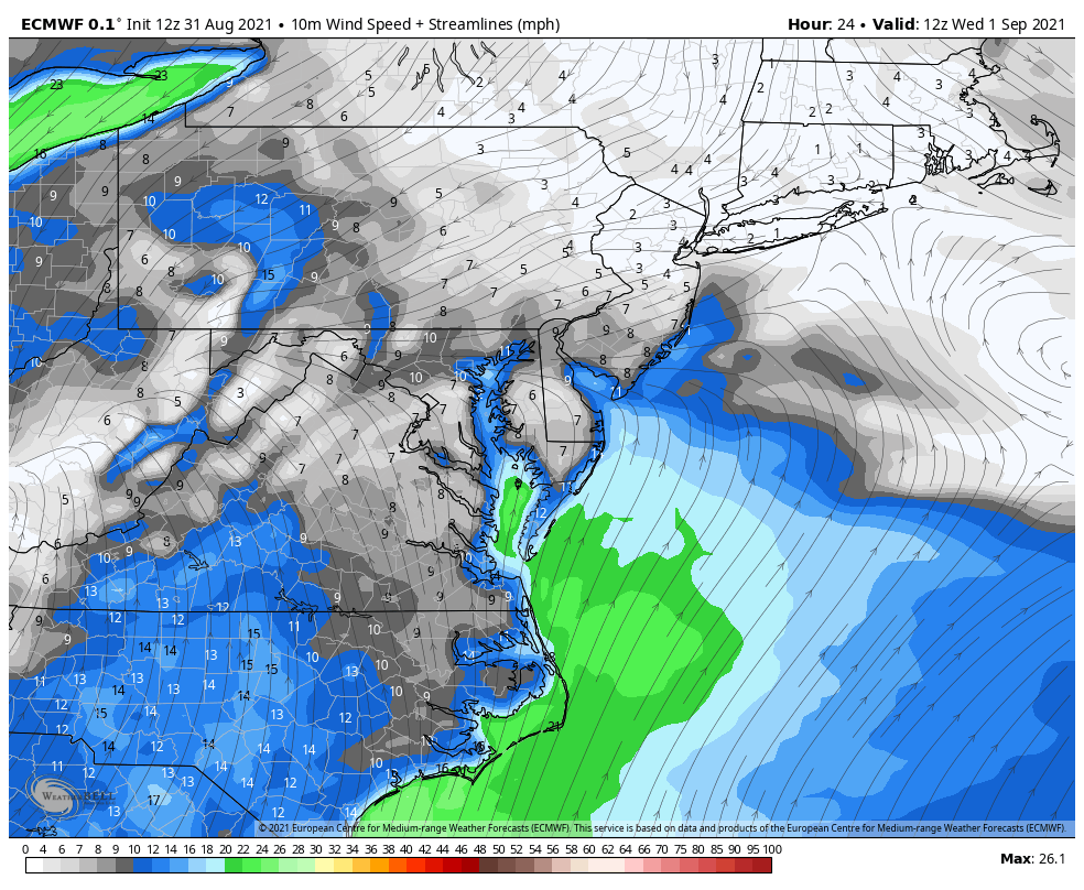 ida-wind-forecast-wednesday-ecmwf