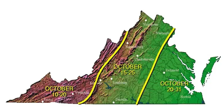 fall-foliage-leaf-report-virginia-september-24